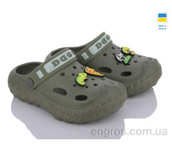 Кроксы Golden Lion